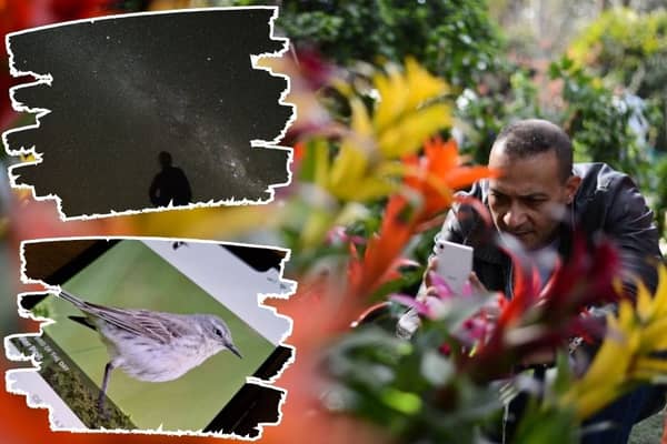 There are apps for IDing plants, birdsong, and even star constellations
