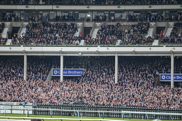 Four racing fans will have the chance to jet off to Benidorm and watch the famous horse racing event