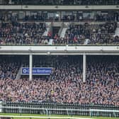 Four racing fans will have the chance to jet off to Benidorm and watch the famous horse racing event