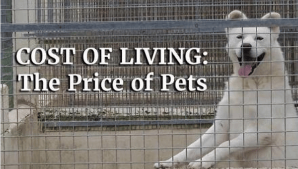 Price of Pets thumbnail image