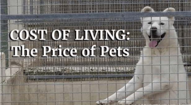 Price of Pets thumbnail image