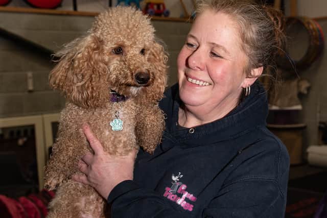 Dawn Heaton with Henry, at Preston Trick Dogs in Inskip