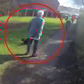 A woman who was walking her dog stepped out in front of the man, allowing officers to apprehend him.