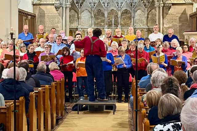 Vox Populi Sing The Beach Boys