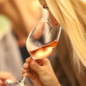 Wine Tasting- The Taste of Giving 