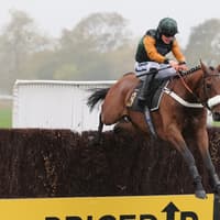 Skelton continues to fire in winners as Warwick races return