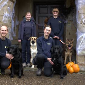 Guide Dog Trainers and trainee guide dogs at St John's House