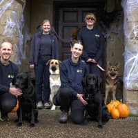 Trainee guide dogs explore spooky Haunted House in Warwickshire ahead of Halloween