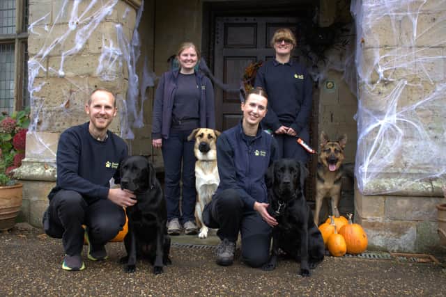 Guide Dog Trainers and trainee guide dogs at St John's House