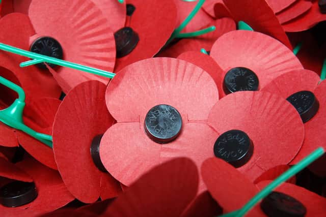 Poppies gv. Photo by The Royal British Legion.