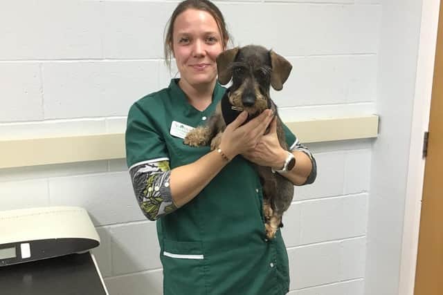 Humphrey with Vicky Kelley who is one of the veterinary team at Avonvale in Warwick.