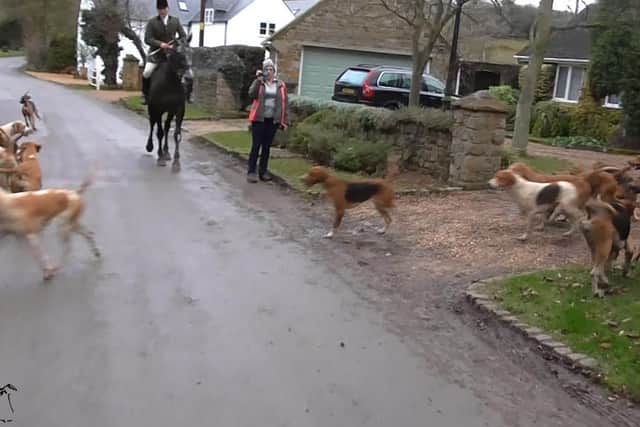 A hunt supporter films the saboteurs who in turn are filming hounds running through the village