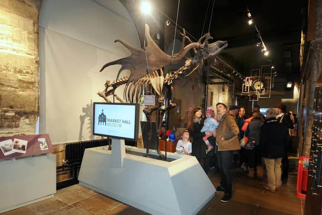 Oisin the giant Irish deer skeleton. Photo by the Market Hall Museum.
