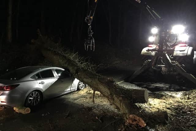 Tree fallen on car incident near Edgehill