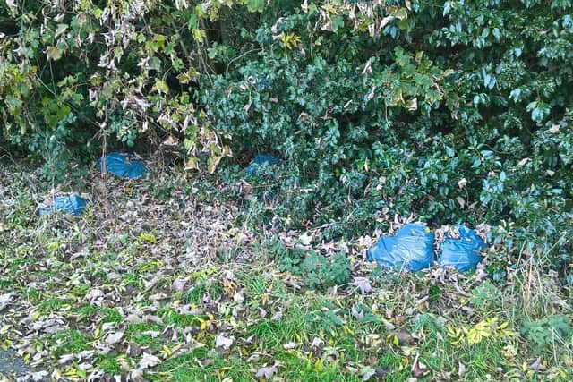 The rubbish that was dumped in Gilmorton Lane, Lutterworth.