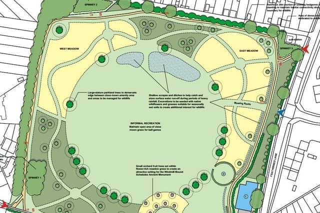 The proposals for the park.
