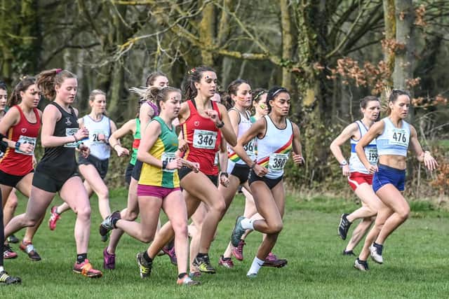 Runners set off at the start of the Midlands Ladies Cross-Country.