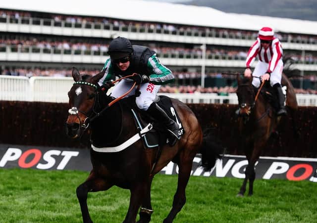 Altior is on course for the Champion Chase at Cheltenham