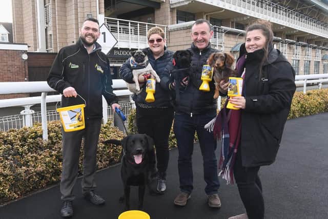 From left to right - Lee Bunting (Air Ambulance) with Ned, Donna Evans (LPS)
with Gracie, Richard Evans (LPS) with Bear and Lily Witherford (Warwick Racecourse) with Kai. Photo supplied