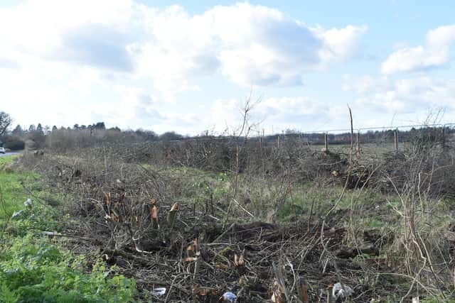 The destruction at the Ashlawn Road hedgerow.