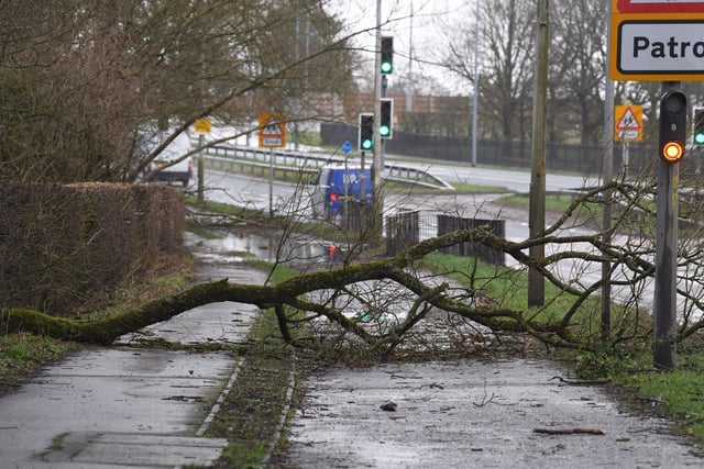 The footpath along the A59 at Howick was blocked by several fallen trees, along with flooding caused by the heavy rains.