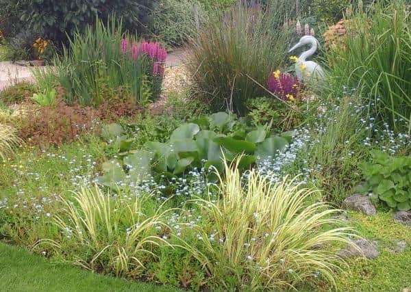 A Barford garden lovingly tended by award-winning plantswoman Marie-Jane Roberts throws open its gates for the National Garden Scheme this weekend.