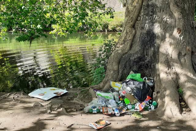 The litter left at the Saxon Mill field. Photo by Jo Beckett.