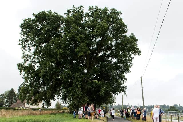 Protesters at the Hunningham Oak. Photo by David Hastings of dh Photo.