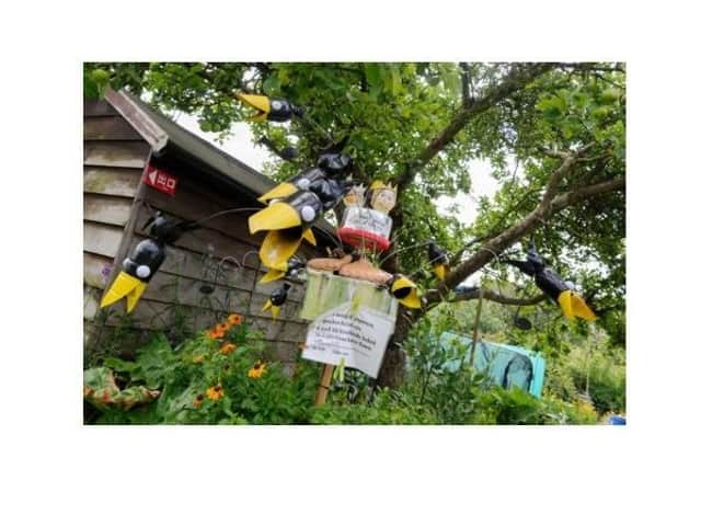 This year's popular Odibourne Allotments open day and scarecrow festival in Kenilworth will still go ahead - but with a few minor alterations to make it Covid-19 compliant.