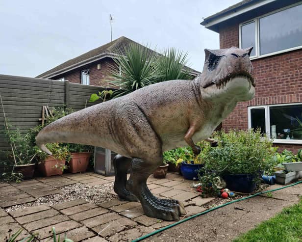 The huge T-Rex is a unique feature in a garden in Lillington.