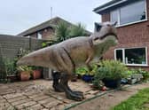 The huge T-Rex is a unique feature in a garden in Lillington.