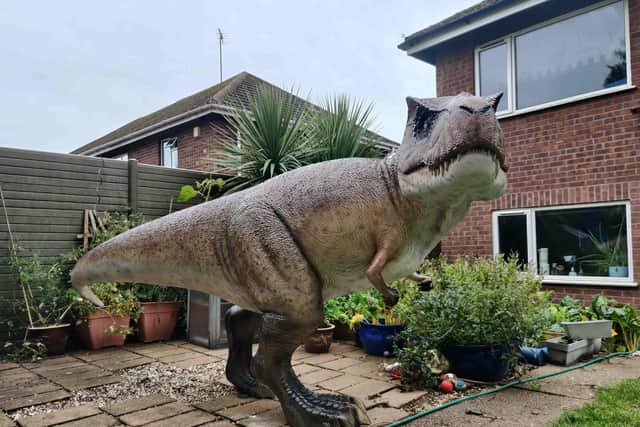 The T-Rex in the garden.