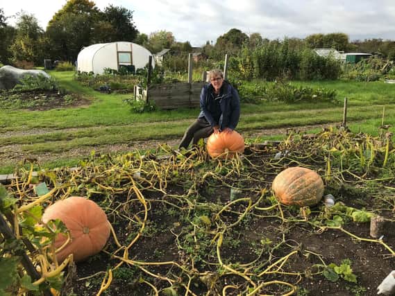 Heather Manning grew these giant pumpkins at the Binswood Allotments in Leamington.