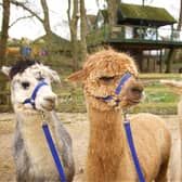 Meeting our new friends at Winchcombe Farm.