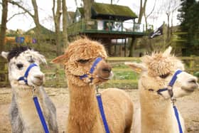Meeting our new friends at Winchcombe Farm.