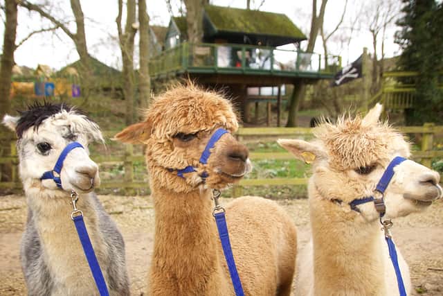 Meeting our new friends at Winchcombe Farm.