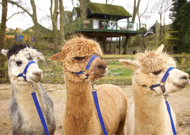 Meeting our new friends at Winchcombe Farm.