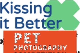 Kissing it Better have launches a pet photography competition. Photos by Kissing it Better