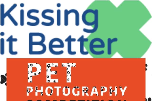 Kissing it Better have launches a pet photography competition. Photos by Kissing it Better