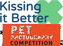 Kissing it Better have launches a pet photography competition. Photos by Kissing it Better