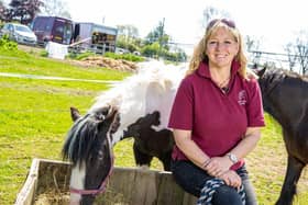 Dina Shale, who founded the Way of the Horse five years ago, is now issuing a powerful SoS to Good Samaritan entrepreneurs to come forward and get behind them to save her thriving venture.