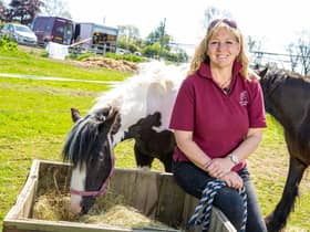 Dina Shale, who founded the Way of the Horse five years ago, is now issuing a powerful SoS to Good Samaritan entrepreneurs to come forward and get behind them to save her thriving venture.