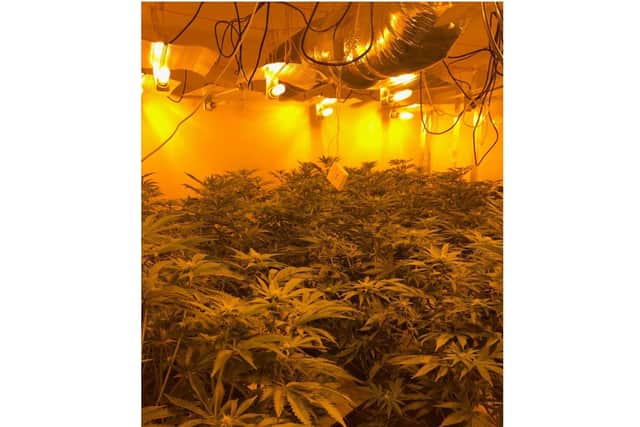 Officers from the Leamington Safer Neighbourhood Team (SNT) have seized more than 200 cannabis plants after discovering a grow operation at a property in town. (photo from Warwickshire Police website)
