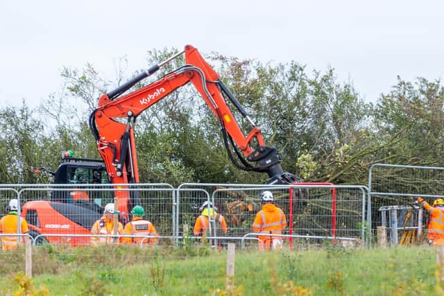 HS2 workers felling the famous Cubbington pear tree. Photo by Mike Baker.