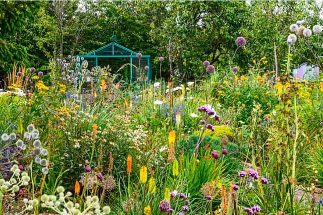 Andy Gladman has worked hard over the past two years to totally transform his allotment into a beautiful idyllic garden, as well as being a full time student. Photo: BBC Gardeners' World magazine/Jason Ingram.
