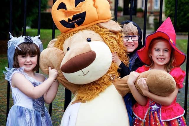 Evie Field, Charlie and Rosie Fawbert with Olly The Brave. Photo by Dave Fawbert Photography