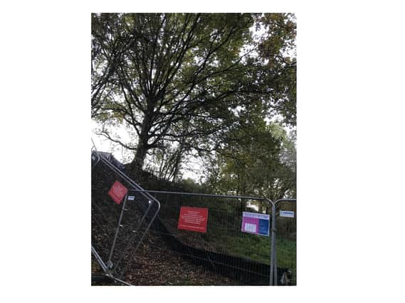 Work is now underway a nature reserve near Leamington, where dozens of trees will be felled to make way for the new high speed rail line (HS2). Photo by Kerry O'Grady.
