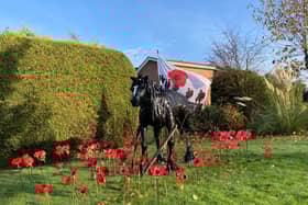 Suw Mitchell's creation of War Horse.