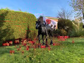 Suw Mitchell's creation of War Horse.