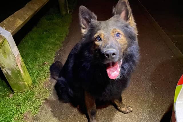 PD Pyro looking pleased after a job well done. Photo taken from @PD_Pyro on Twitter.